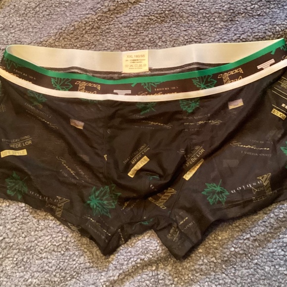 Black sheer trunks , fits like medium, front coverage. - Picture 2 of 6